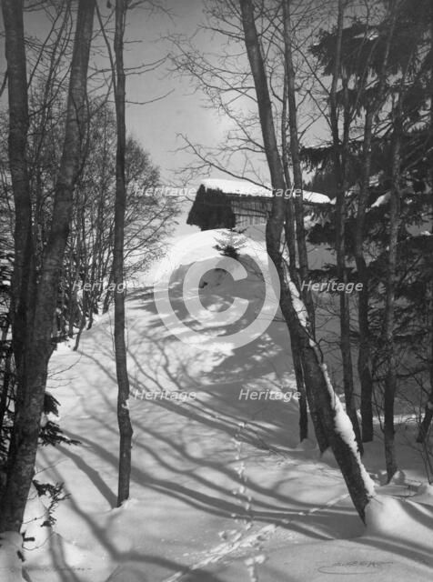 Animal tracks in the snow, 1916. Creator: Unknown.