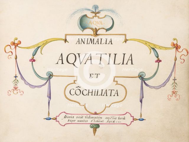 Animalia Aqvatilia et Cochiliata (Aqva): Title Page, c. 1575/1580. Creator: Joris Hoefnagel.