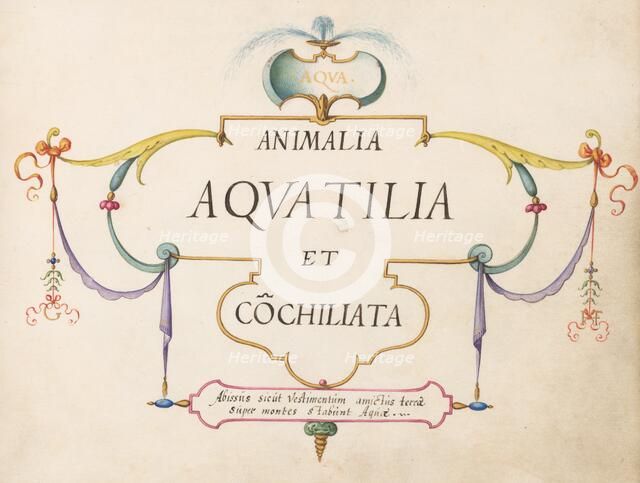 Animalia Aqvatilia et Cochiliata (Aqva): Title Page, c. 1575/1580. Creator: Joris Hoefnagel.