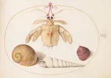 Animalia Aqvatilia et Cochiliata (Aqva): Plate L, c. 1575/1580. Creator: Joris Hoefnagel