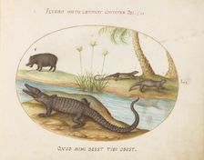 Animalia Qvadrvpedia et Reptilia (Terra): Plate L, c. 1575/1580. Creator: Joris Hoefnagel