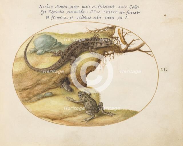 Animalia Qvadrvpedia et Reptilia (Terra): Plate LI, c. 1575/1580. Creator: Joris Hoefnagel.