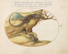 Animalia Qvadrvpedia et Reptilia (Terra): Plate LI, c. 1575/1580. Creator: Joris Hoefnagel