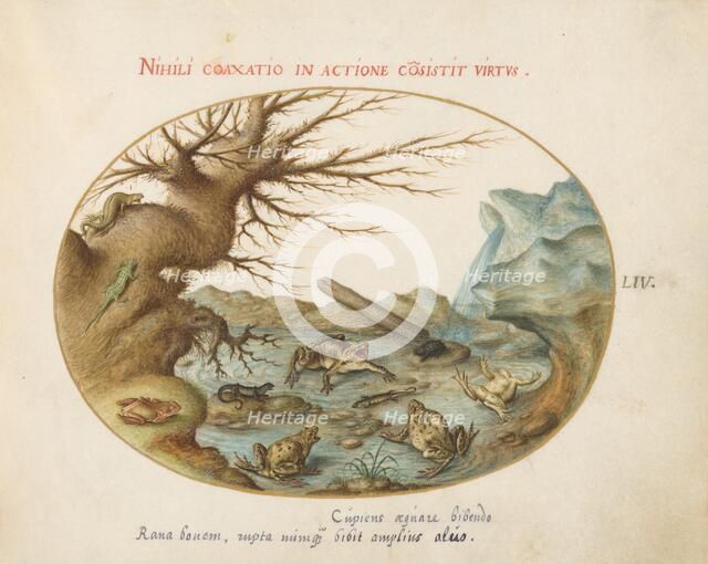 Animalia Qvadrvpedia et Reptilia (Terra): Plate LIV, c. 1575/1580. Creator: Joris Hoefnagel.