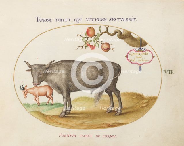 Animalia Qvadrvpedia et Reptilia (Terra): Plate VII, c. 1575/1580. Creator: Joris Hoefnagel.