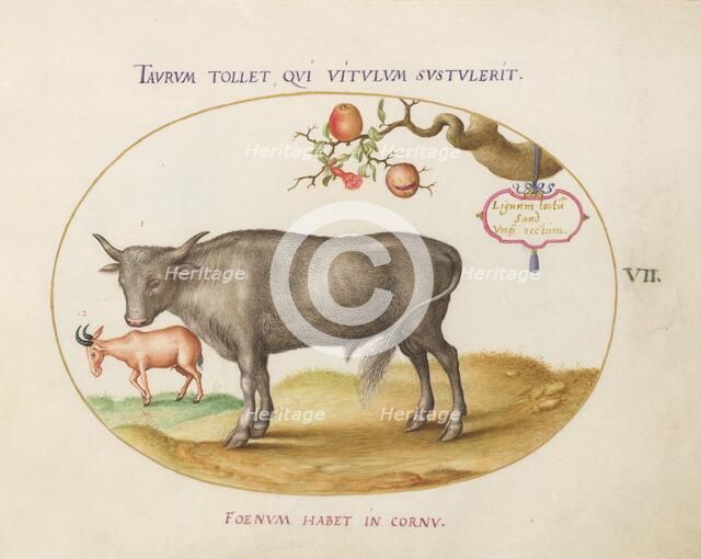 Animalia Qvadrvpedia et Reptilia (Terra): Plate VII, c. 1575/1580. Creator: Joris Hoefnagel.