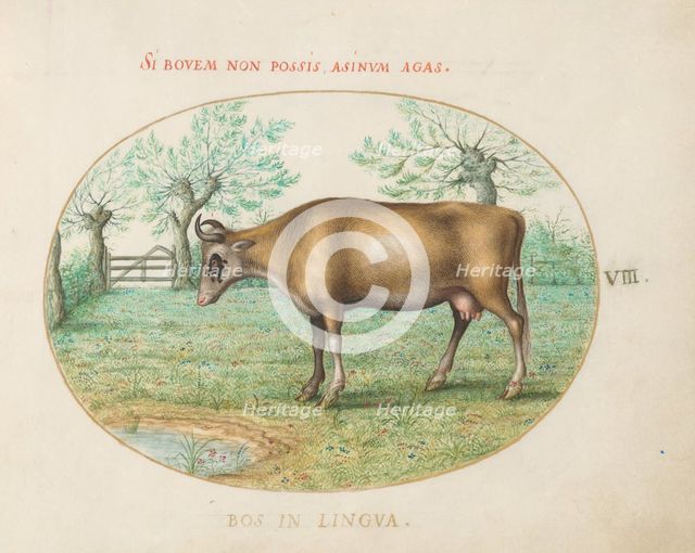 Animalia Qvadrvpedia et Reptilia (Terra): Plate VIII, c. 1575/1580. Creator: Joris Hoefnagel.