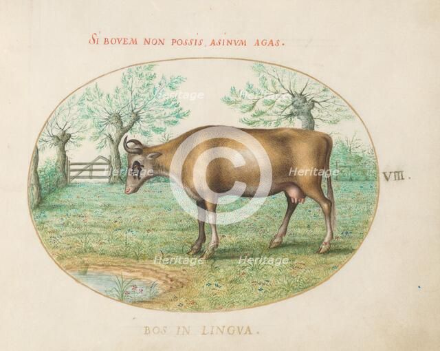 Animalia Qvadrvpedia et Reptilia (Terra): Plate VIII, c. 1575/1580. Creator: Joris Hoefnagel.