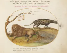 Animalia Qvadrvpedia et Reptilia (Terra): Plate X, c. 1575/1580. Creator: Joris Hoefnagel