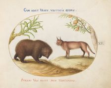 Animalia Qvadrvpedia et Reptilia (Terra): Plate XV, c. 1575/1580. Creator: Joris Hoefnagel