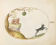 Animalia Qvadrvpedia et Reptilia (Terra): Plate XXXIII, c. 1575/1580. Creator: Joris Hoefnagel