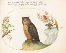 Animalia Volatilia et Amphibia (Aier): Plate LIV, c. 1575/1580. Creator: Joris Hoefnagel
