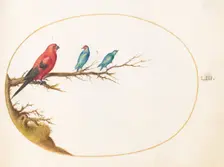 Animalia Volatilia et Amphibia (Aier): Plate LIII, c. 1575/1580. Creator: Joris Hoefnagel