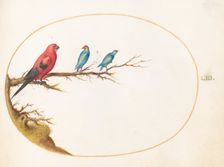 Animalia Volatilia et Amphibia (Aier): Plate LIII, c. 1575/1580. Creator: Joris Hoefnagel