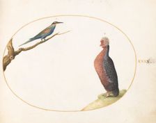 Animalia Volatilia et Amphibia (Aier): Plate XL, c. 1575/1580. Creator: Joris Hoefnagel