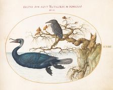 Animalia Volatilia et Amphibia (Aier): Plate XXIII, c. 1575/1580. Creator: Joris Hoefnagel