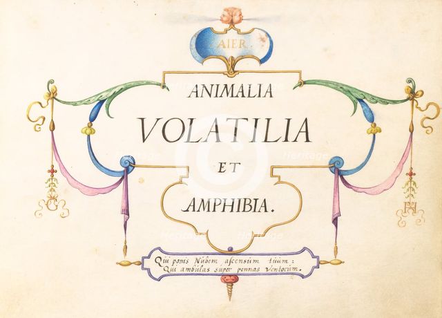 Animalia Volatilia et Amphibia (Aier): Title Page, c. 1575/1580. Creator: Joris Hoefnagel.