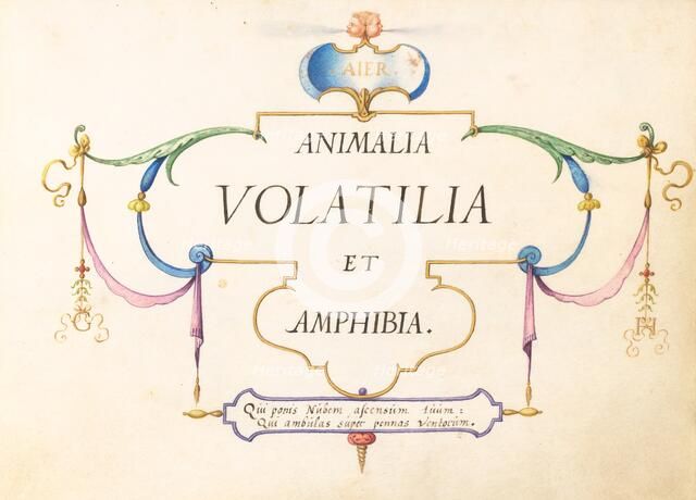 Animalia Volatilia et Amphibia (Aier): Title Page, c. 1575/1580. Creator: Joris Hoefnagel.