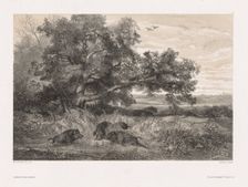 Animals and Landscape after Nature: Wild Boar in a Pond, c. 1850. Creator: Karl Bodmer (Swiss, 1809-1893)