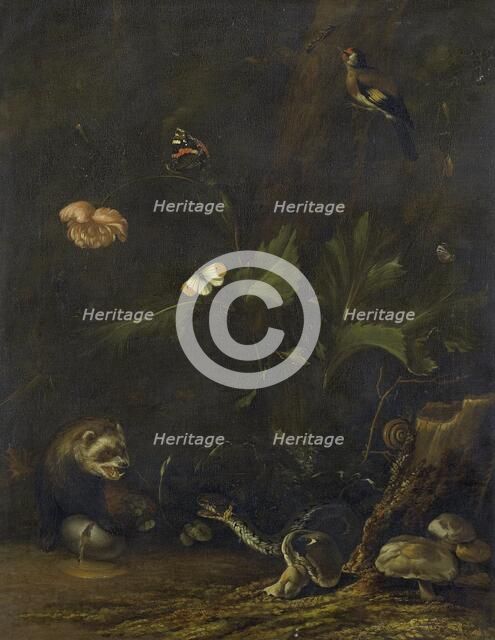 Animals and Plants, 1650-1677. Creator: Anthonie van Borssom.