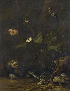 Animals and Plants, 1650-1677. Creator: Anthonie van Borssom