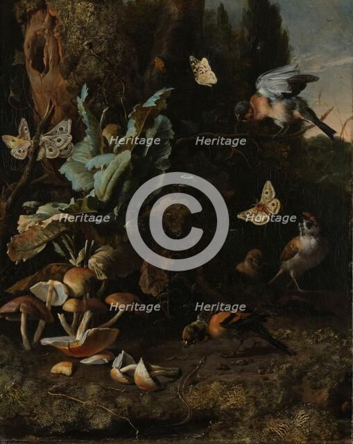 Animals and Plants, c.1668. Creator: Melchior d'Hondecoeter.