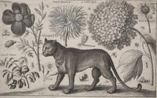 Animals and Plants: Leopard with Plants and Insects, 1662. Creator: Wenceslaus Hollar (Bohemian, 1607-1677)