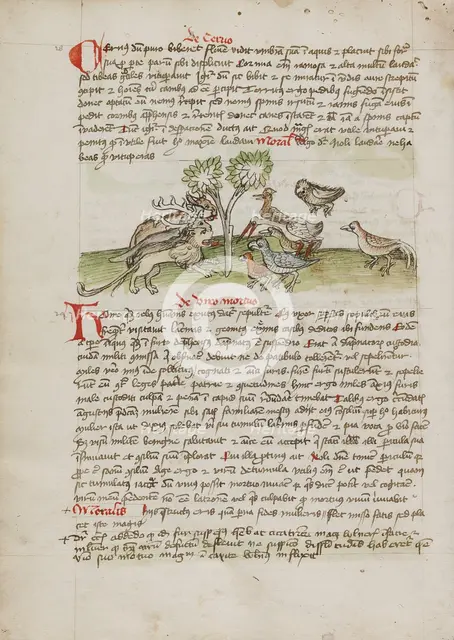 Animals Gathered under a Tree; Fables, third quarter of 15th century. Creator: Unknown.