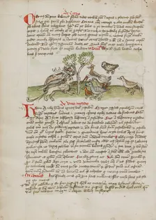 Animals Gathered under a Tree; Fables, third quarter of 15th century. Creator: Unknown