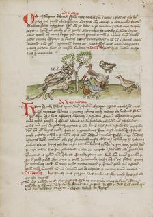 Animals Gathered under a Tree; Fables, third quarter of 15th century. Creator: Unknown