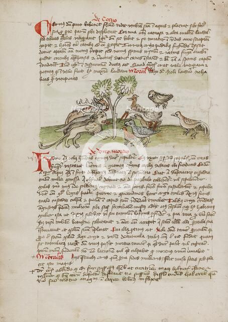 Animals Gathered under a Tree; Fables, third quarter of 15th century. Creator: Unknown.