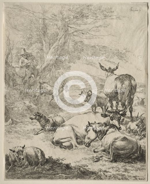 Animals in Repose. Creator: Nicolaes Berchem (Dutch, 1620-1683).