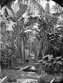 Annam, Cochin China (Vietnam), 1867. Creator: John Thomson