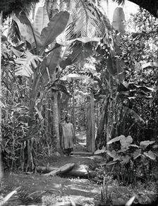 Annam, Cochin China (Vietnam), 1867. Creator: John Thomson