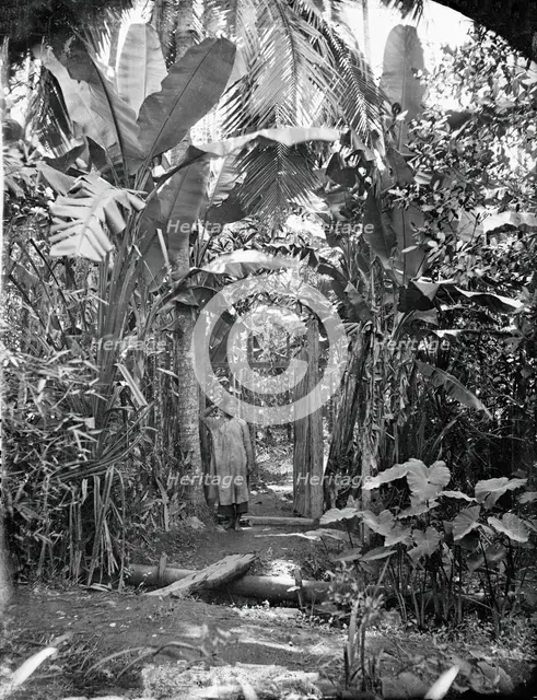 Annam, Cochin China (Vietnam), 1867. Creator: John Thomson.