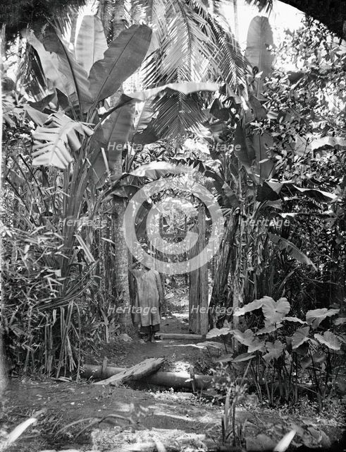 Annam, Cochin China (Vietnam), 1867. Creator: John Thomson.