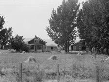 Another view of E. Houston's farm, Washington, Yakima County, west of Toppenish, 1939. Creator: Dorothea Lange