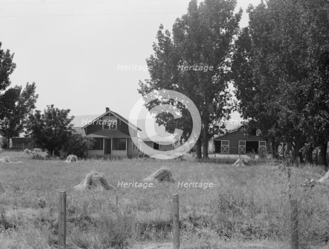 Another view of E. Houston's farm, Washington, Yakima County, west of Toppenish, 1939. Creator: Dorothea Lange.