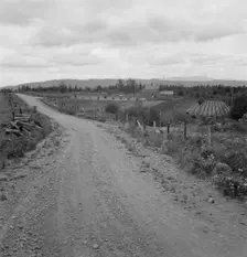 Another cut-over farm located across the road from Kytta place, Michigan Hill, Washington, 1939. Creator: Dorothea Lange