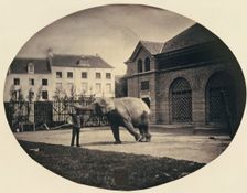 Another Impossible Task, 1854. Creator: Louis-Pierre-Théophile Dubois de Nehaut