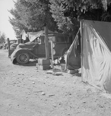 Another migratory family camp during bean harvest, near West Stayton, Marion County, Oregon, 1939. Creator: Dorothea Lange