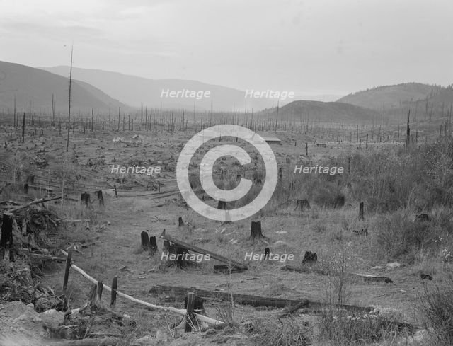 Another stump farm, fenced, showing general characteristics of..., Bonner County, Idaho, 1939. Creator: Dorothea Lange.