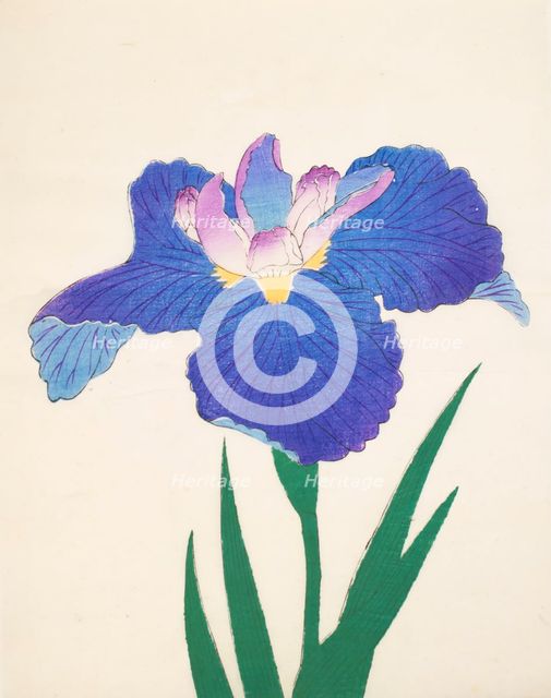 Aoi-Gata, No. 30, 1890, (colour woodblock print)
