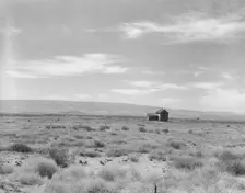 Abandoned dry land farm in the Columbia Basin, South of Quincy, Grant County, Washington, 1939. Creator: Dorothea Lange