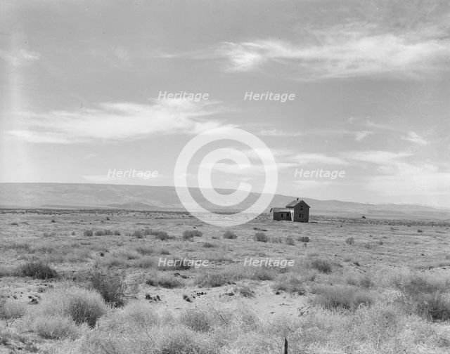 Abandoned dry land farm in the Columbia Basin, South of Quincy, Grant County, Washington, 1939. Creator: Dorothea Lange.