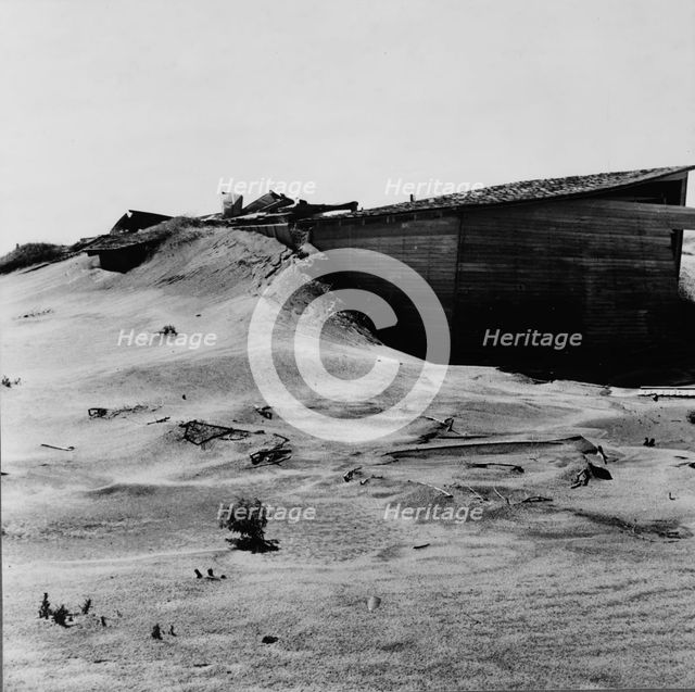 Abandoned farm, Coldwater District, north of Dalhart, Texas, 1938. Creator: Dorothea Lange.