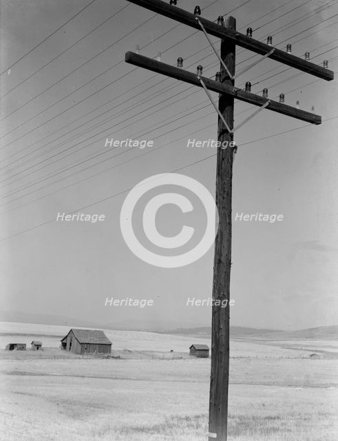 Abandoned farm in wheat country, on U.S. 97, Klickitat County, near Goldendale, Washington, 1939. Creator: Dorothea Lange.