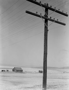 Abandoned farm in wheat country, on U.S. 97, Klickitat County, near Goldendale, Washington, 1939. Creator: Dorothea Lange