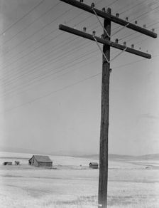 Abandoned farm in wheat country, on U.S. 97, Klickitat County, near Goldendale, Washington, 1939. Creator: Dorothea Lange