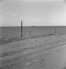 Abandoned farm on the high plains, Texas County, Oklahoma, 1938. Creator: Dorothea Lange